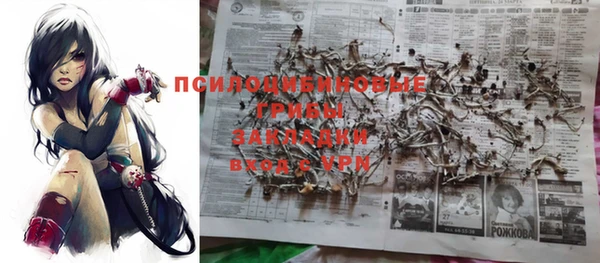 героин Ладушкин