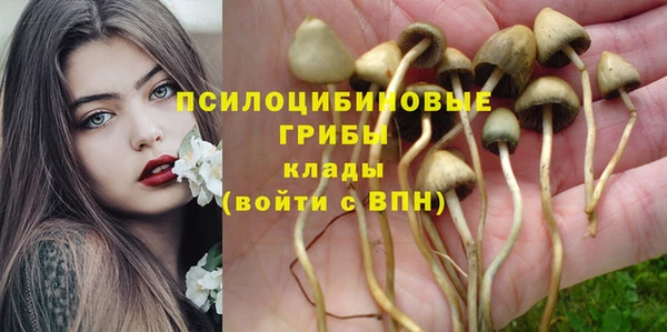 героин Ладушкин