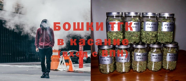 спиды Лагань