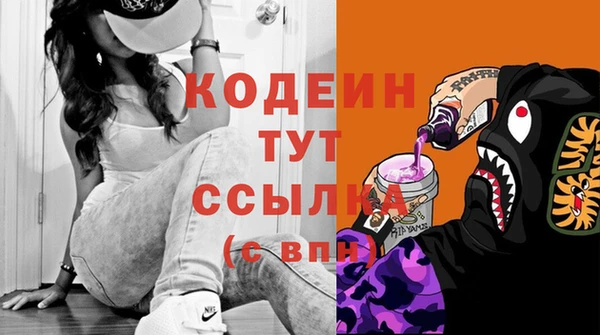 спиды Лагань