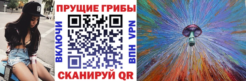 блэк спрут как зайти  купить  цена  Сураж  Галлюциногенные грибы мицелий 